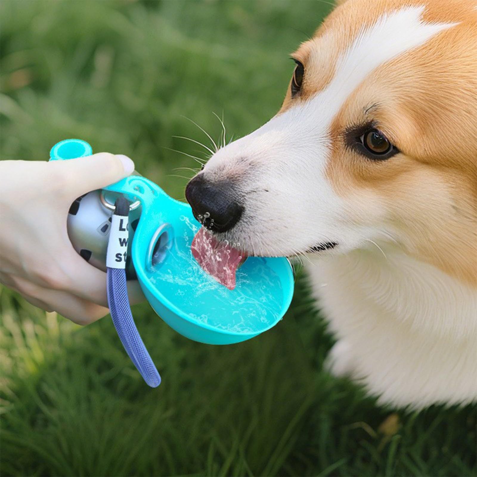 Portable Collapsible Pet Water Bottle with Hook